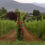 Il Fienile In By Interhome Appartamento
