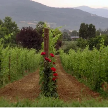 Il Fienile In By Interhome Apartment