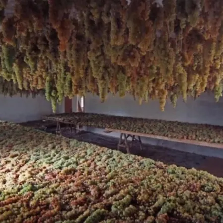 Apartment Il Fienile In By Interhome *