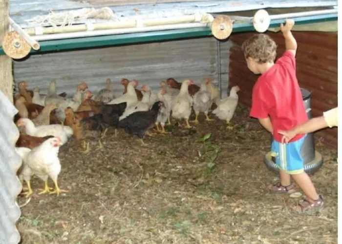 Apartment Il Fienile In By Interhome Umbertide