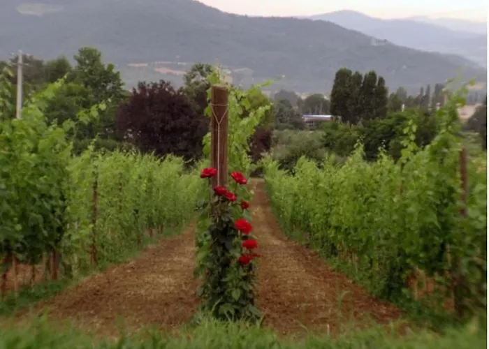 Il Fienile In By Interhome Apartment